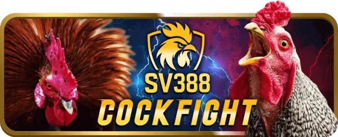 Bước 3 nhận thưởng hello88